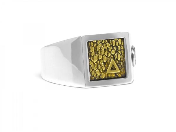 E442SBR Zegelring ELEMENTS Collectie