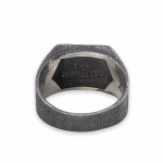 E441RAW Zegelring ELEMENTS Collectie