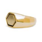 X201SGP zegelring zilver goldplated SXM - Edged Collectie