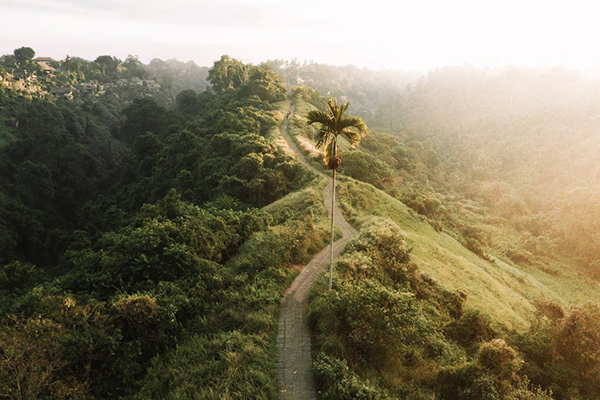 Campuhan Ridge Walk